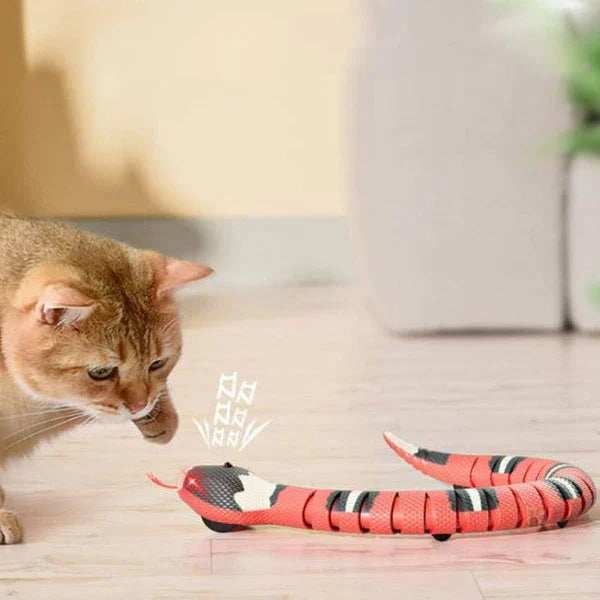 Funny Snake Toy