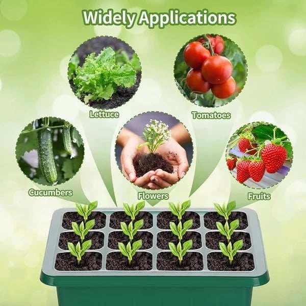 Flat Reusable Plant Germination Trays with Drain Hole
