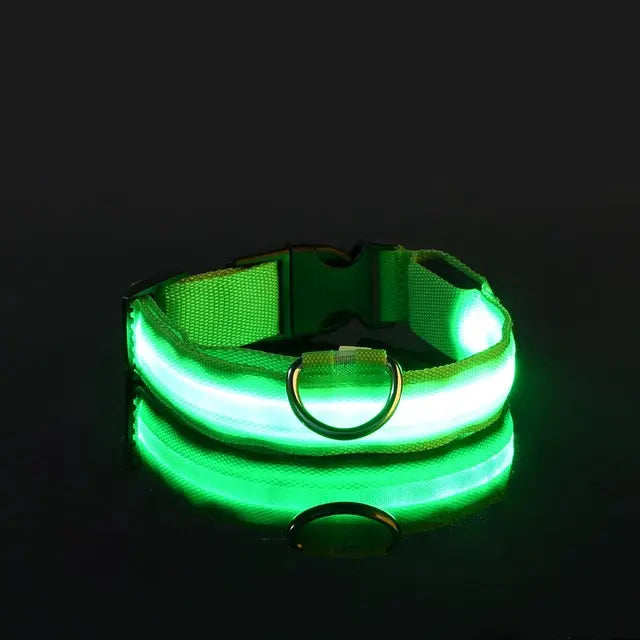 Flashing Glow Dog Collar