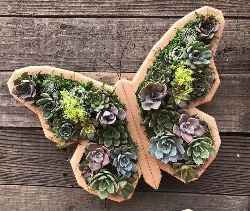 Summer Hot Sale-40% OFFAnimal Succulent Garden Arrangement