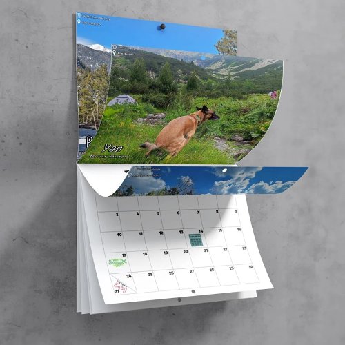 Funny Calendar Gift -  Dogs Pooping In Beautiful Places 2024 Calendar
