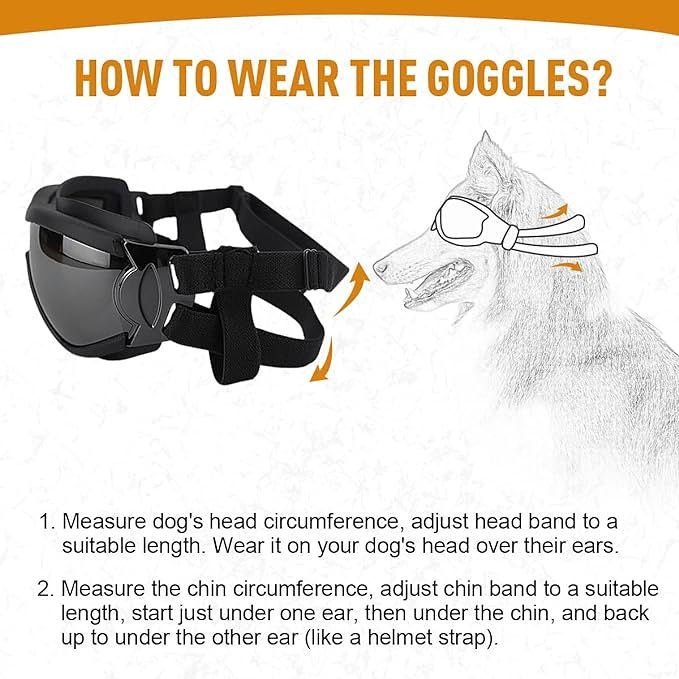 Buy More Save More - Outdoor Goggles for Your Dogs