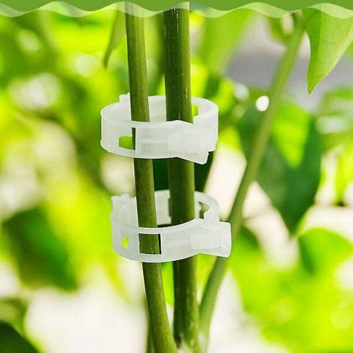 Plant Support Clips