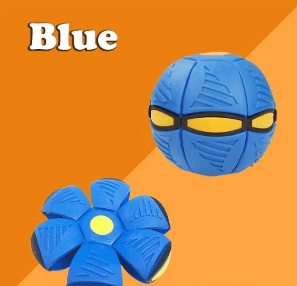BUY MORE SAVE MORE Doggy Disc Ball
