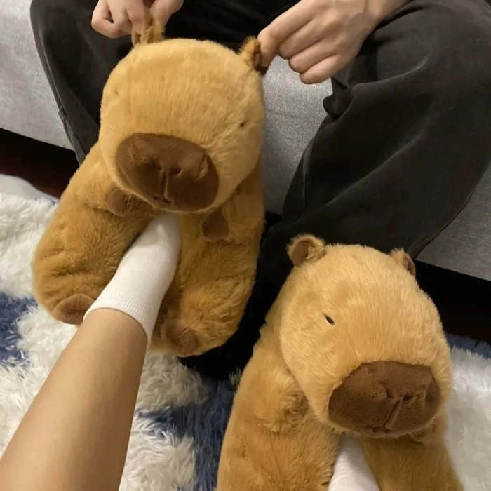 Capybara Slippers