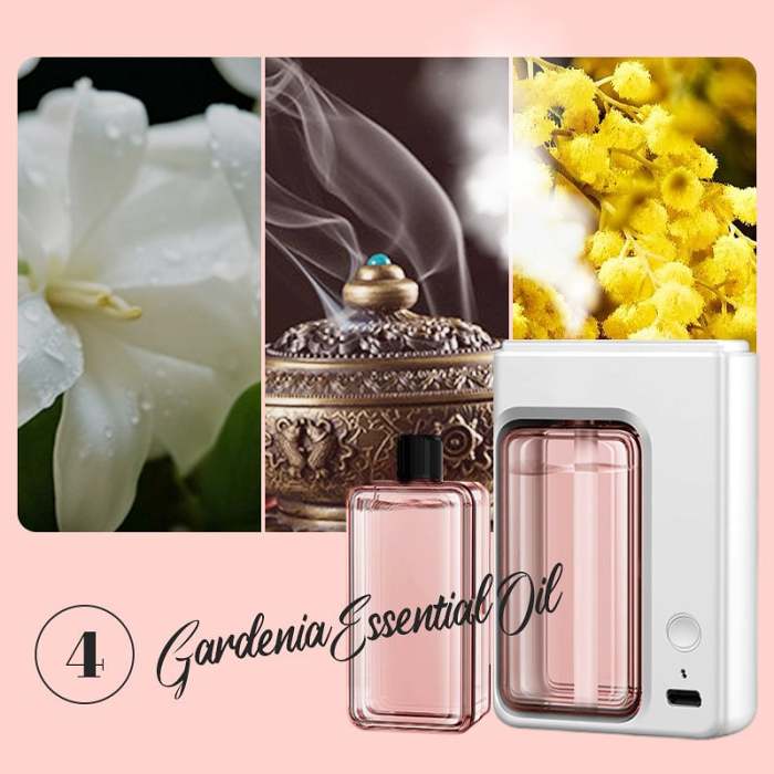 Hot SaleAutomatic Aromatherapy Diffuser