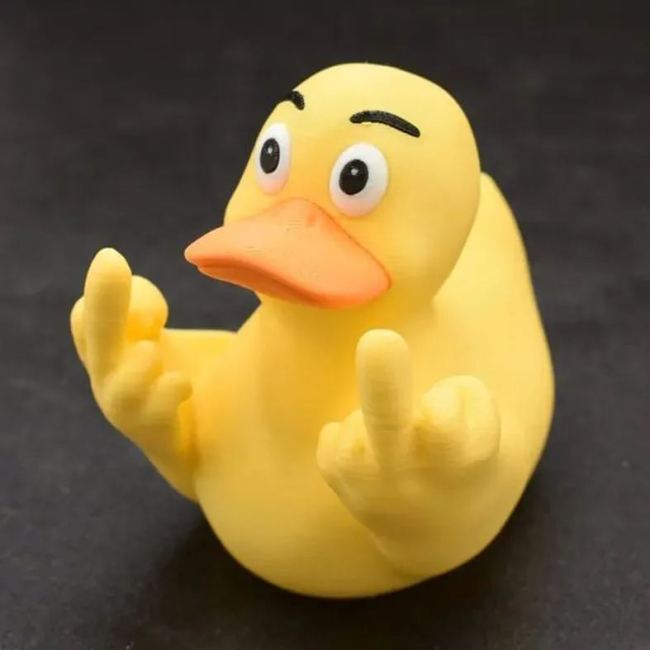 Funny Middle Finger Ducks