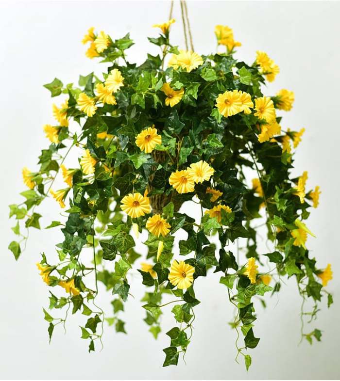 2024 New upgrade hot salesUV Simulation Artificial morning glory
