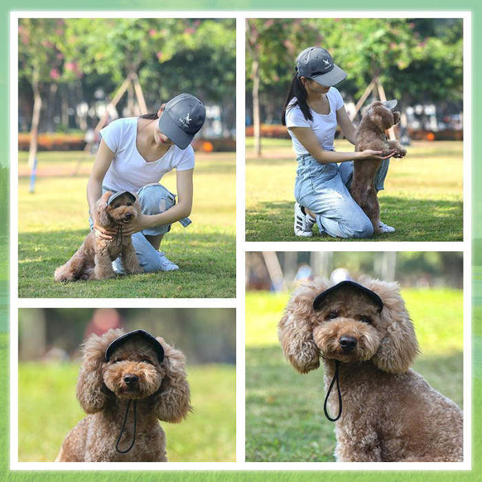 Outdoor Sun Protection Hood For Dogs