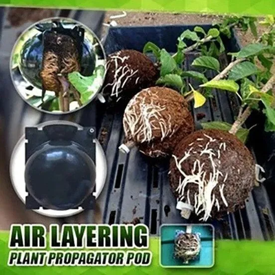 Plant Root Growing Box(BUY 3 GET 1 FREE NOW)