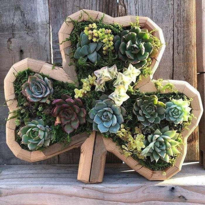 Summer Hot Sale-40% OFFAnimal Succulent Garden Arrangement