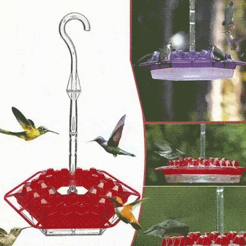 Mother's Day Sale 49% OFF-MARY'S HUMMINGBIRD FEEDER WITH PERCH