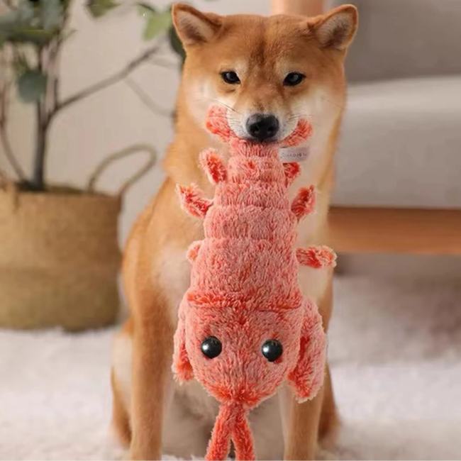 Floppy Lobster Interactive Dog Toy