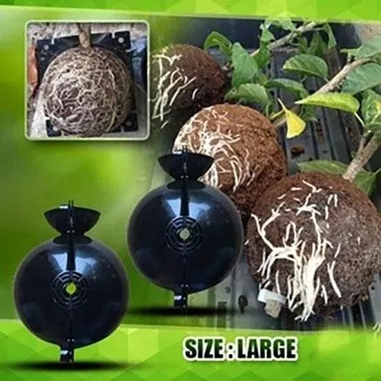 Plant Root Growing Box(BUY 3 GET 1 FREE NOW)