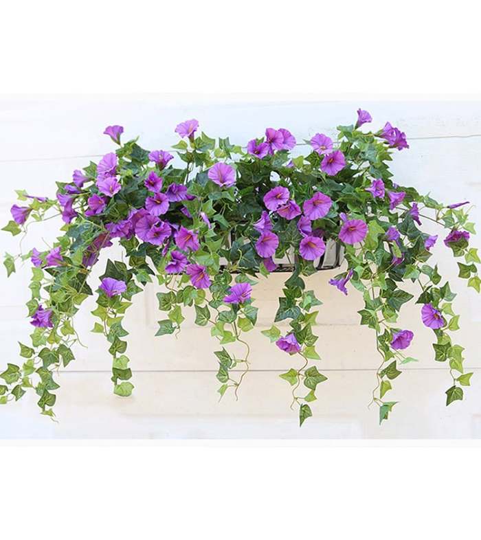 2024 New upgrade hot salesUV Simulation Artificial morning glory