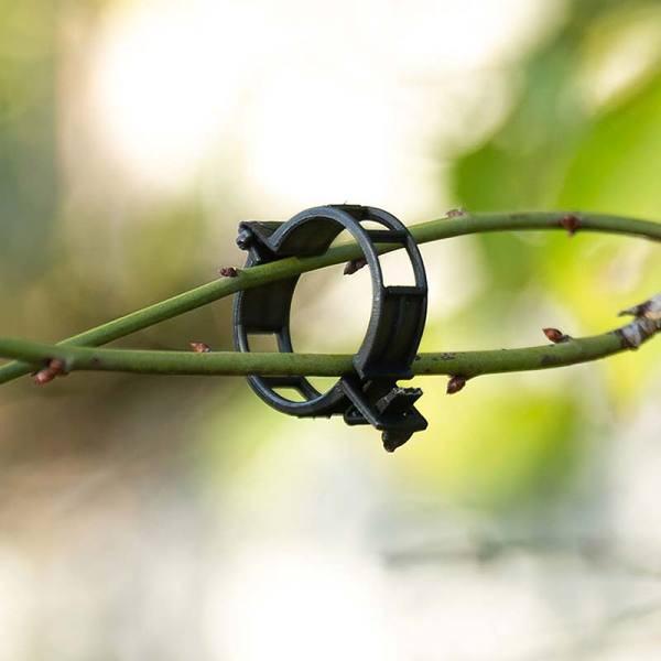 Plant Support Clips