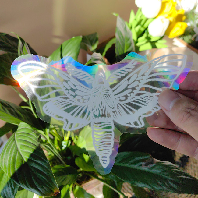 Magic Moth Sun Catcher Sticker