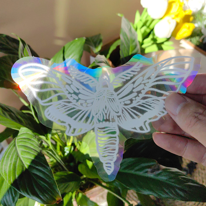 Magic Moth Sun Catcher Sticker