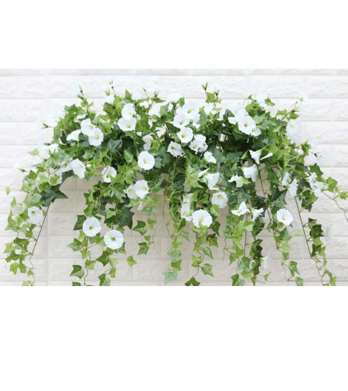 2024 New upgrade hot salesUV Simulation Artificial morning glory