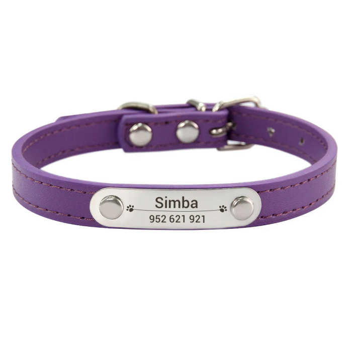 Customized Dog, Cat Collar Engraving