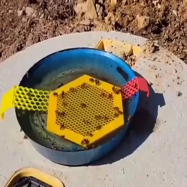 Floating Bee Island-Bee Waterer