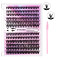 240PCS+Brush