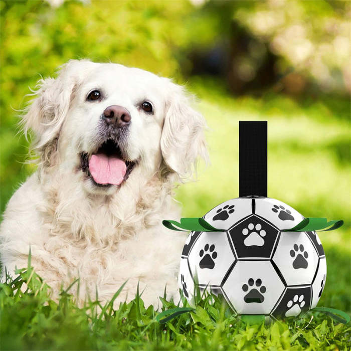 Soccer Ball For Dogs