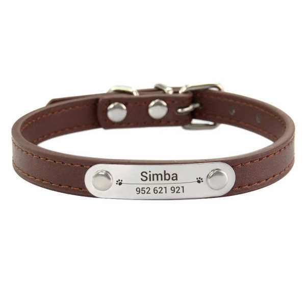 Customized Dog, Cat Collar Engraving