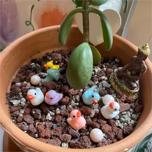 Tiny Ducks | Challenge Hiding 100 Ducks