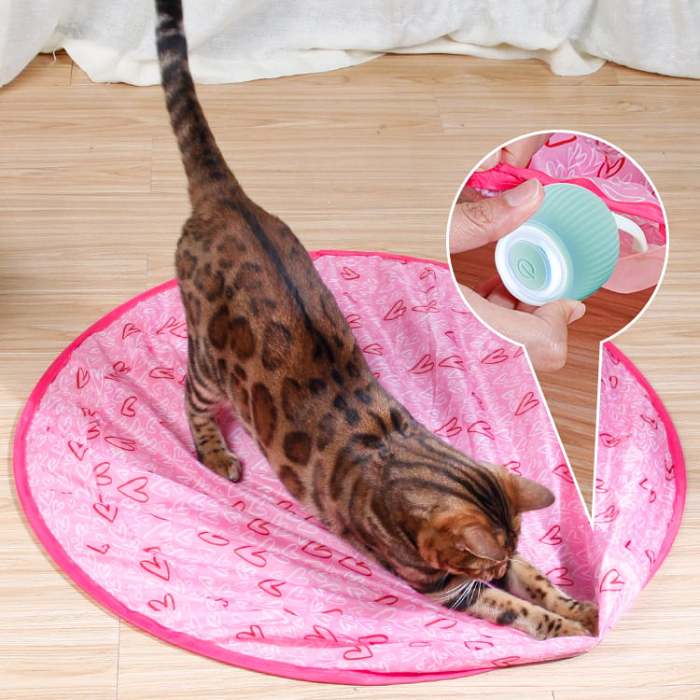 New Year 2024 Sale 49% OFF2 in 1 Simulated Interactive hunting cat toy