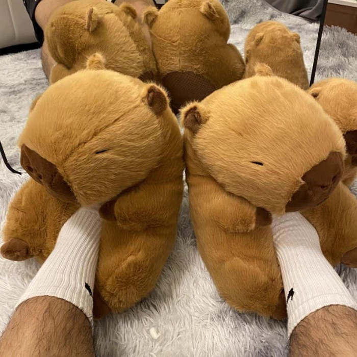 Capybara Slippers