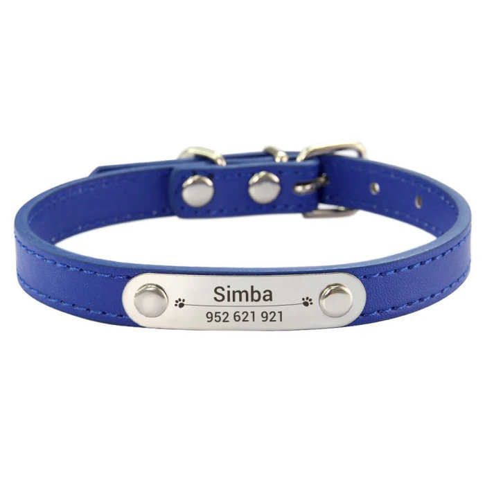 Customized Dog, Cat Collar Engraving