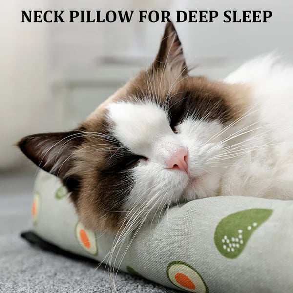 Pet ice pad mat