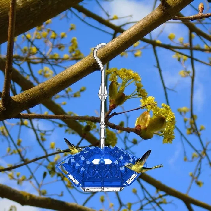 Hummingbird Feeder With Perch And Built-in Ant Moat - Warm Hummingbird Gift