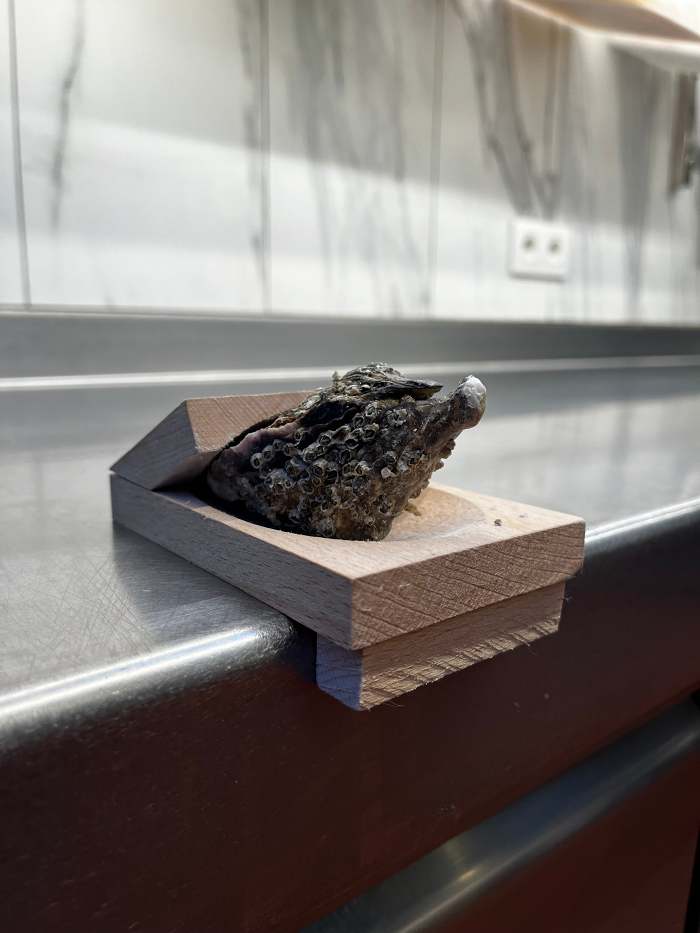 Oyster Shucking Clamp