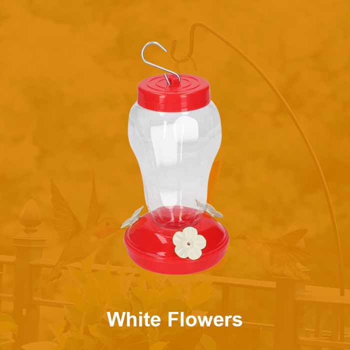 Hanging Hummingbird Water Feeder