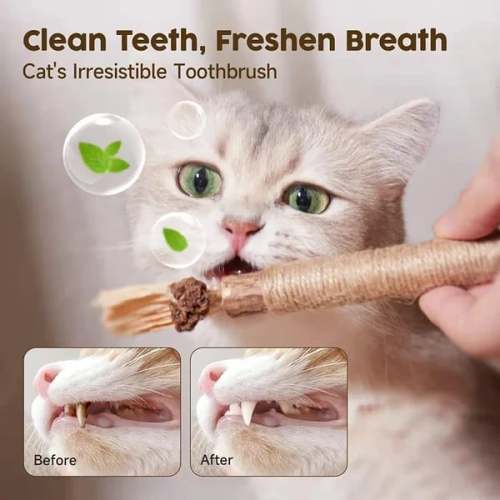 (HOT SALE NOW- 48% OFF)Natural Silvervine Stick Cat Chew Toy--buy 5 get 5 free & free shipping（10pcs） by Veasoon