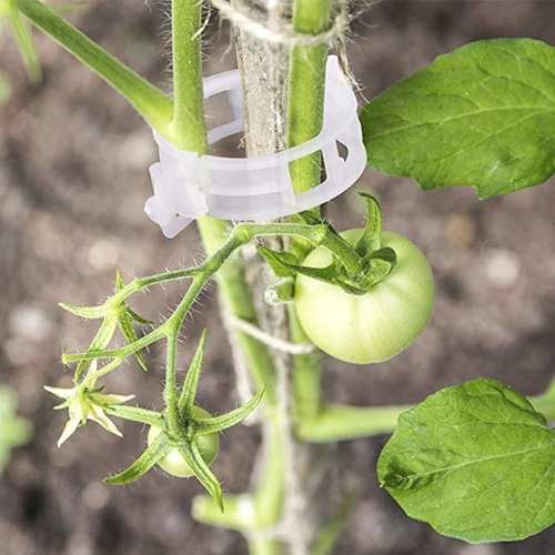 SALE  49% OFF - Plant Support Clips