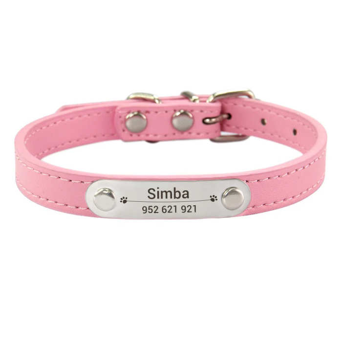 Customized Dog, Cat Collar Engraving