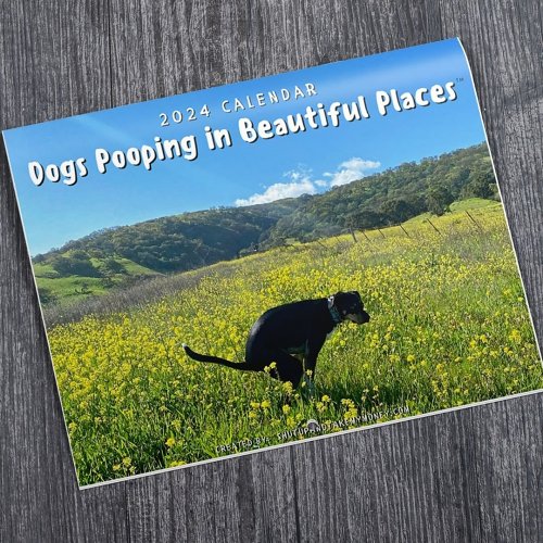 Funny Calendar Gift -  Dogs Pooping In Beautiful Places 2024 Calendar