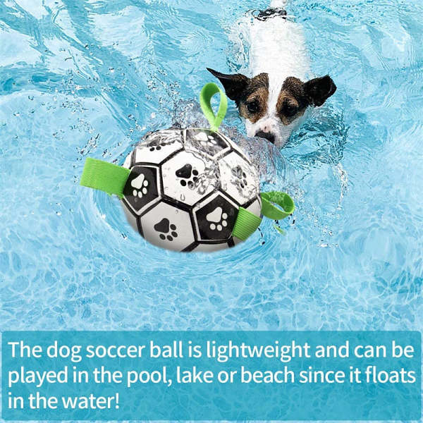 Soccer Ball For Dogs
