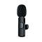 Type C Port - Dual Mic