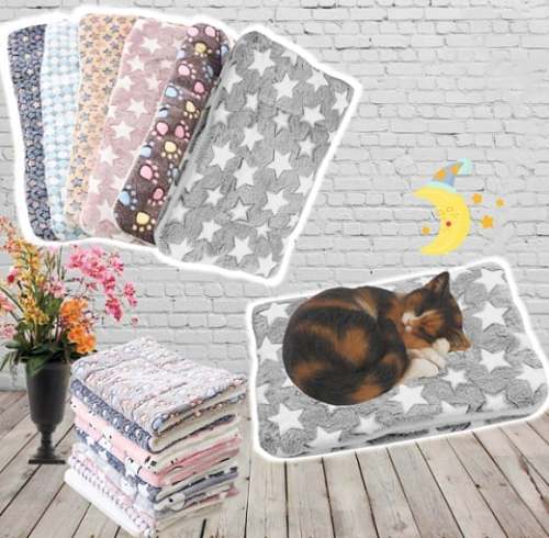 Winter Hot Sale 49% OFFCosy Calming Cat Blanket