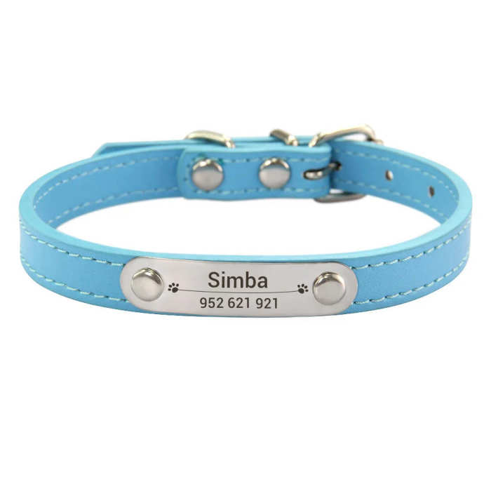 Customized Dog, Cat Collar Engraving