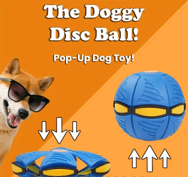BUY MORE SAVE MORE Doggy Disc Ball