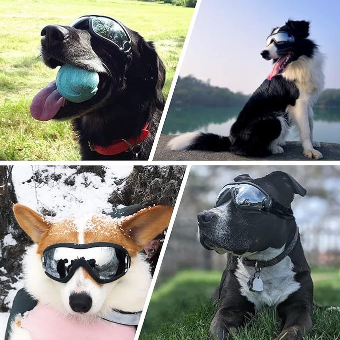 Buy More Save More - Outdoor Goggles for Your Dogs