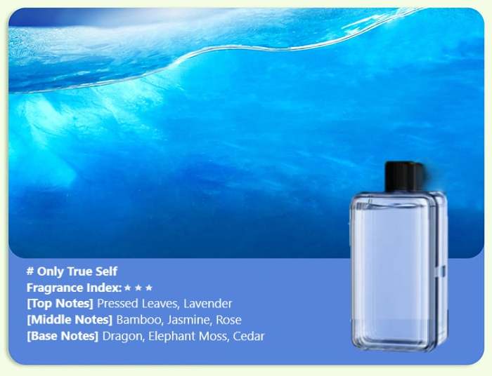 Hot SaleAutomatic Aromatherapy Diffuser