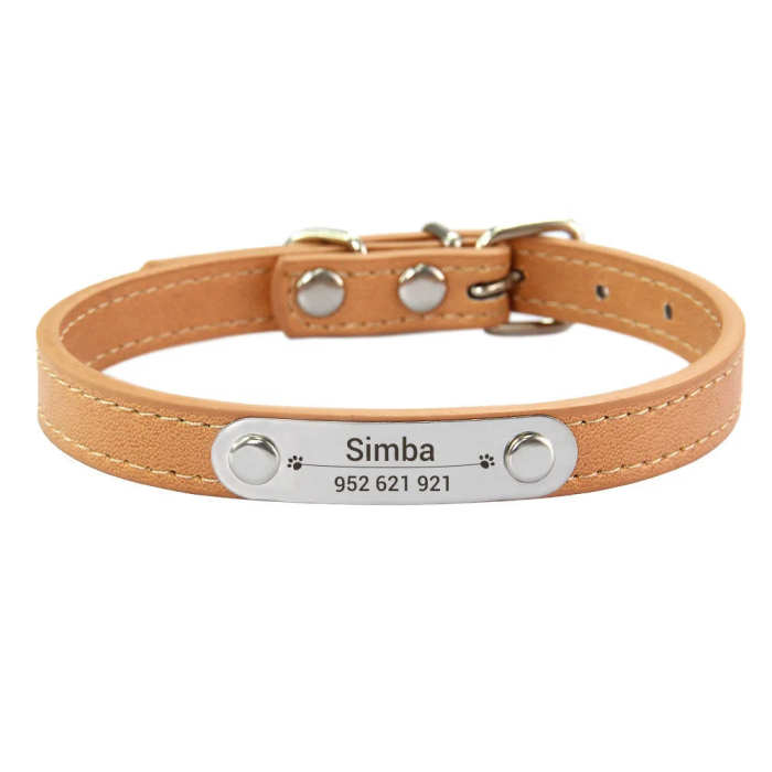 Customized Dog, Cat Collar Engraving