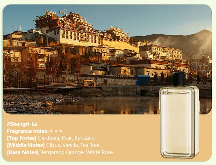 Hot SaleAutomatic Aromatherapy Diffuser