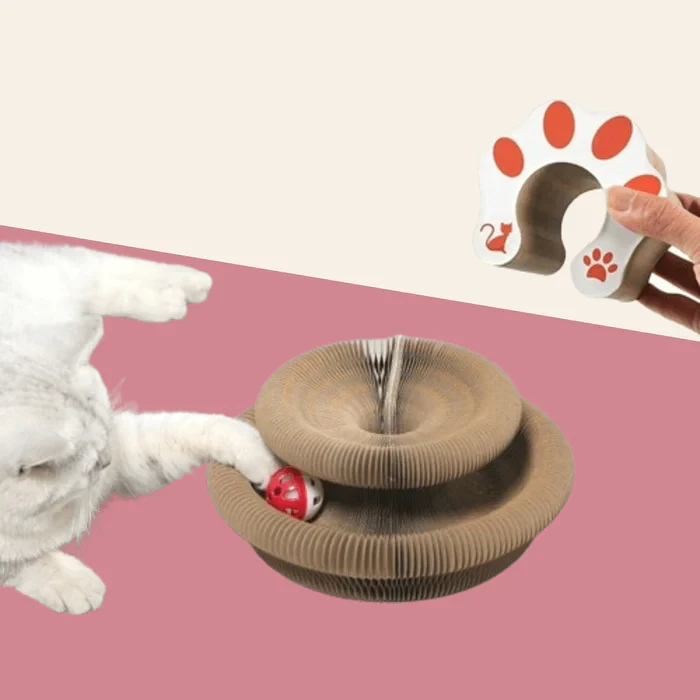 2024 New Cat Scratching Board Cat Toy